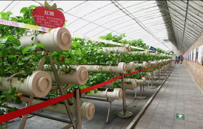 1506128824.jpg c0bdbade9c82d158c3311a6a8a0a19d8be3e42e9.jpg